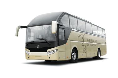 53 используемый местами бренд дракона автобуса города золотой